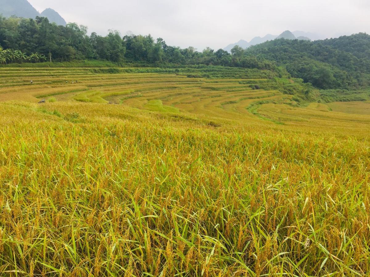 Pu Luong Ecolodge 外观 照片